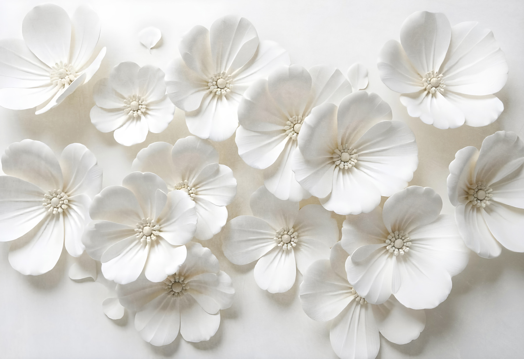 Group of white flowers Group of white flowers