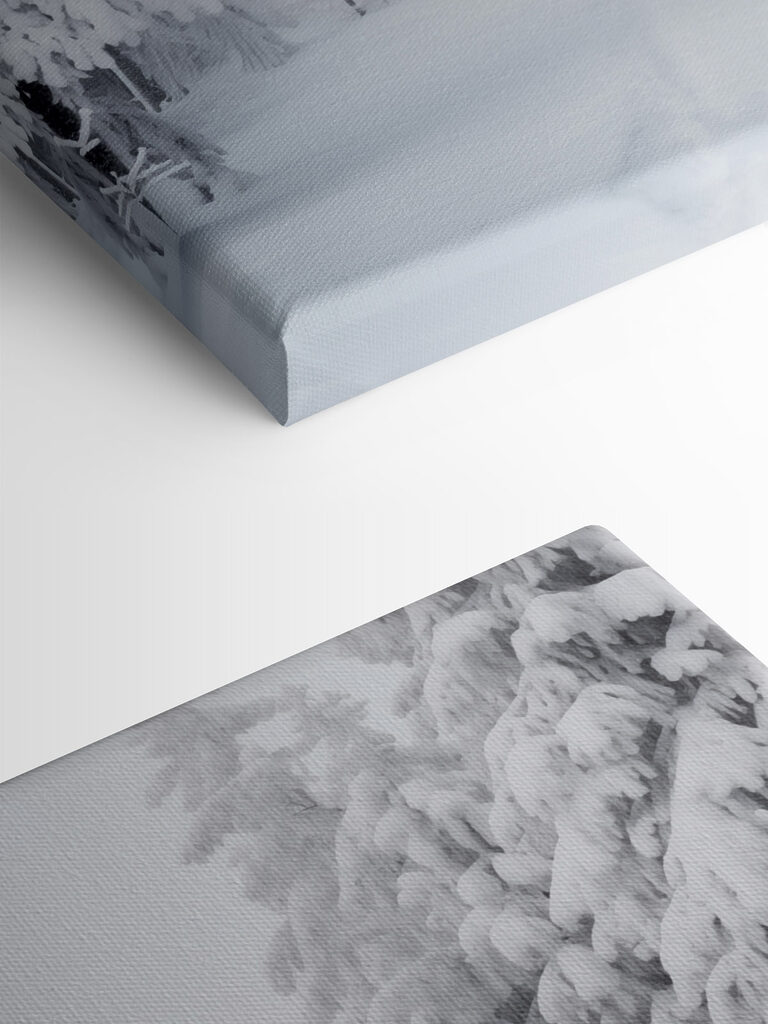 Snowy path with trees Snowy path with trees