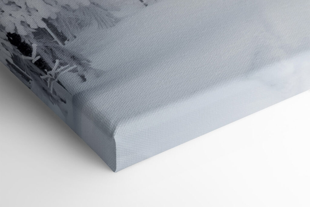 Snowy path with trees Snowy path with trees