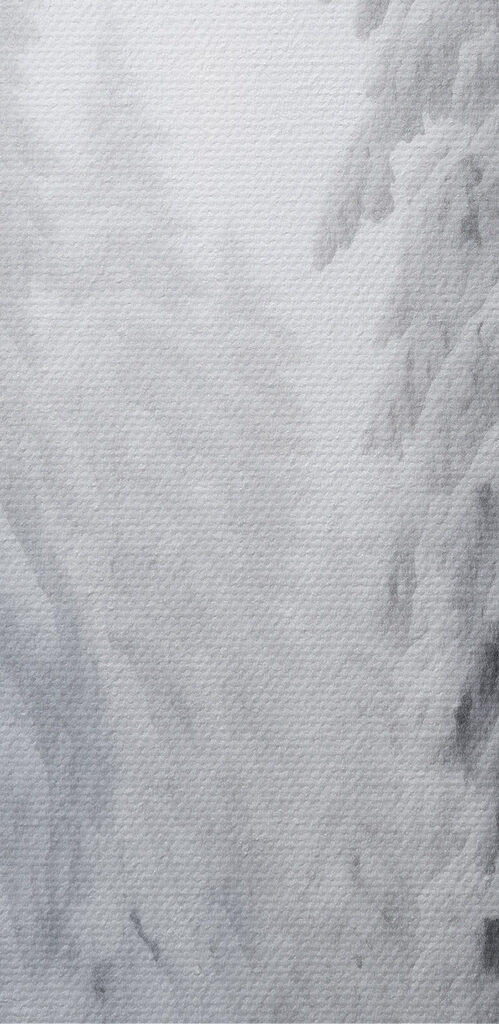 Snowy path with trees Snowy path with trees