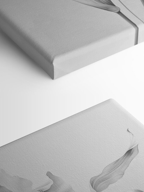 Delicate petals in soft monochrome hues Delicate petals in soft monochrome hues