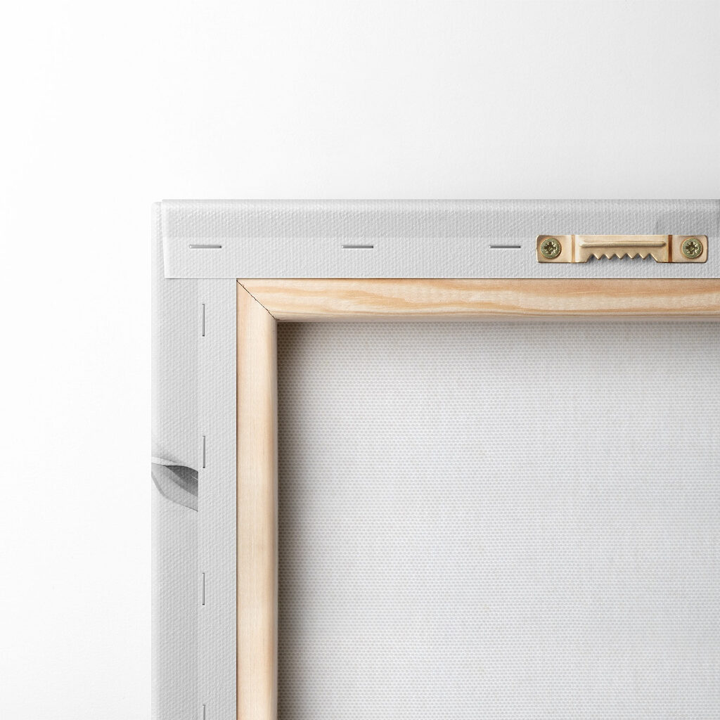 Delicate petals in soft monochrome hues Delicate petals in soft monochrome hues