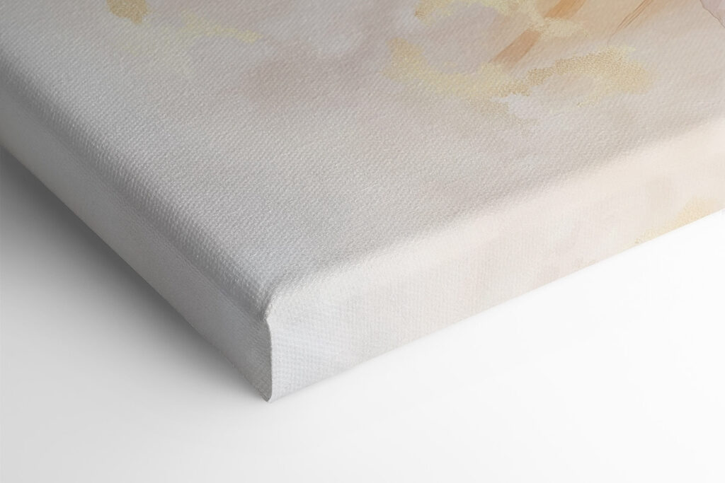 Delicate petals in soft hues Delicate petals in soft hues