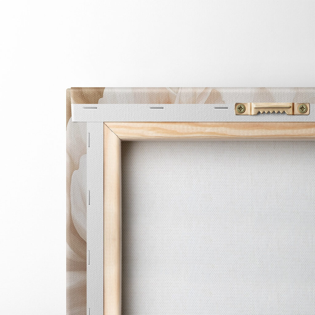 Delicate petals in soft hues Delicate petals in soft hues