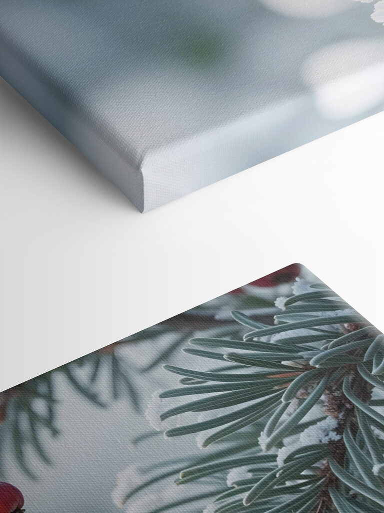 Winter berries amidst frosty branches Winter berries amidst frosty branches