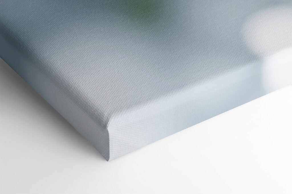 Winter berries amidst frosty branches Winter berries amidst frosty branches