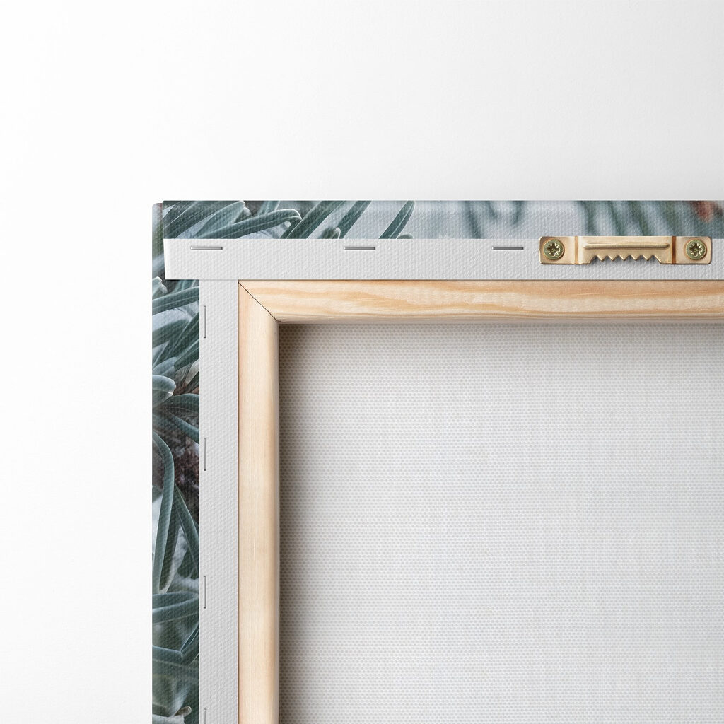 Winter berries amidst frosty branches Winter berries amidst frosty branches