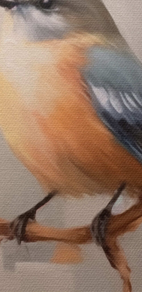 Bird on a branch with flowers Bird on a branch with flowers