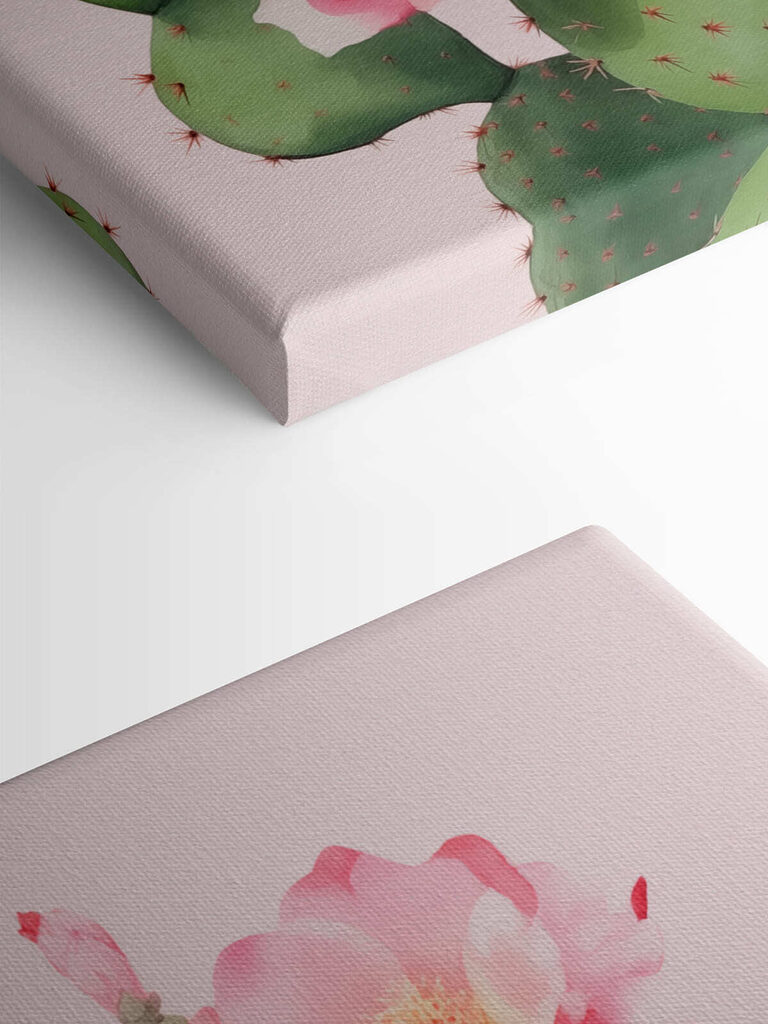 Cactus with pink flowers Cactus with pink flowers