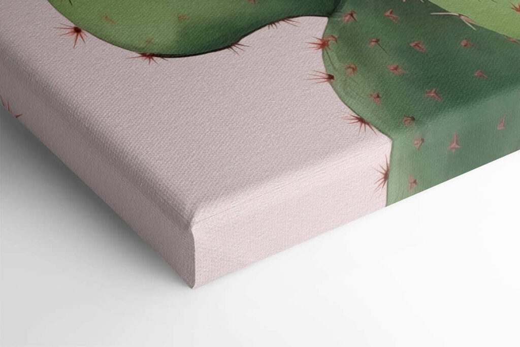 Cactus with pink flowers Cactus with pink flowers