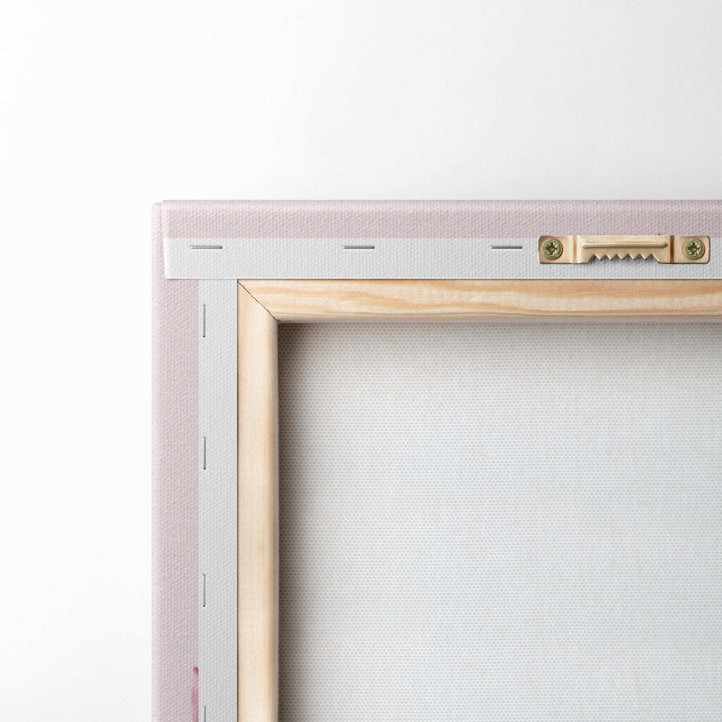 Cactus with pink flowers Cactus with pink flowers