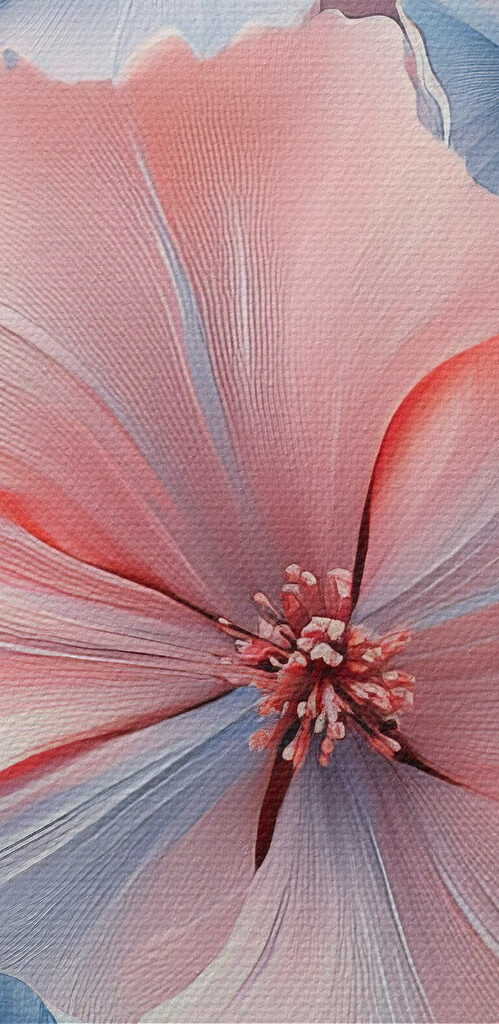 Group of blue and pink flowers Group of blue and pink flowers