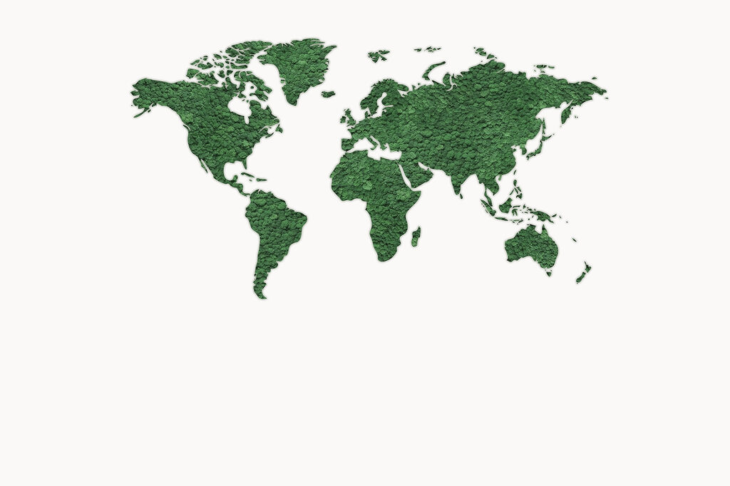 Mapa sveta Mapa sveta