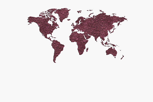 Mapa sveta Mapa sveta