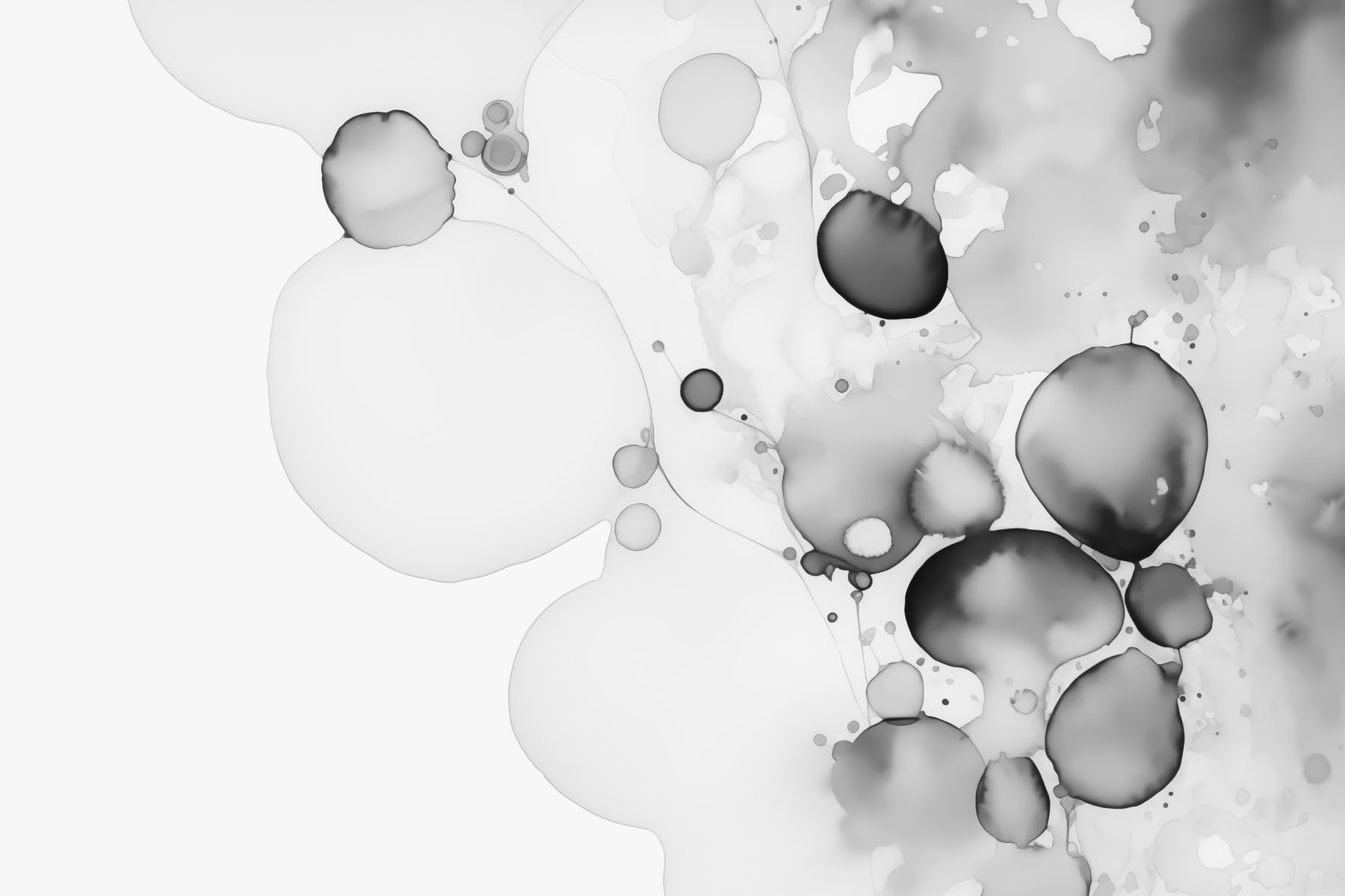 Fluid black and white abstract art Fluid black and white abstract art