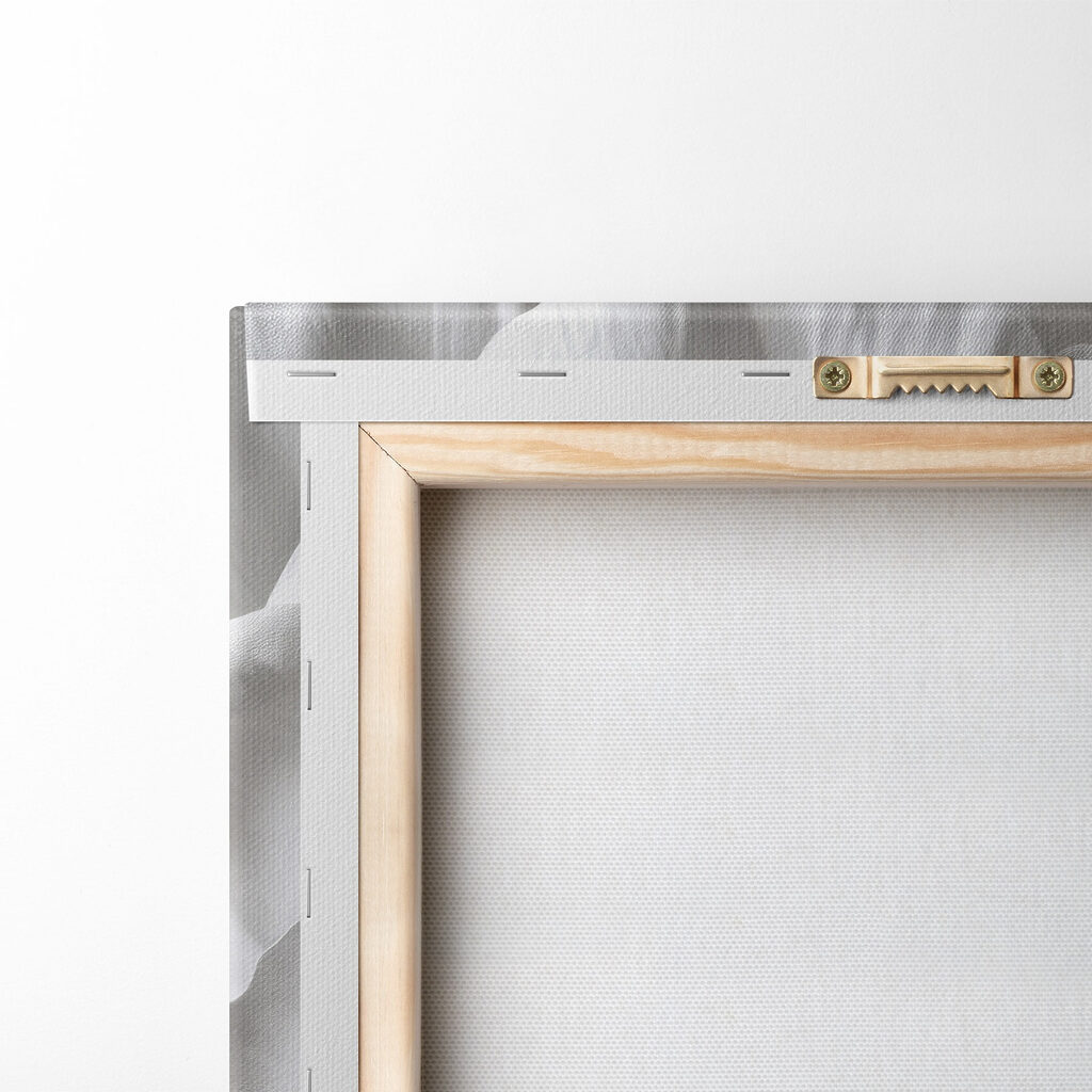 Delicate beauty in soft petals Delicate beauty in soft petals