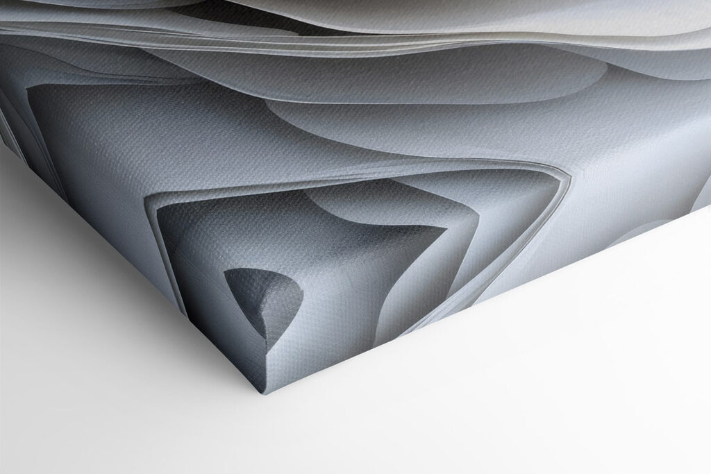 Delicate petals in soft harmony Delicate petals in soft harmony