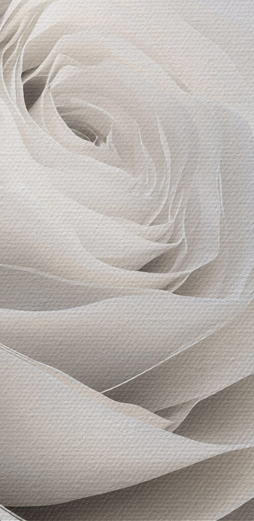 Delicate petals in soft harmony Delicate petals in soft harmony