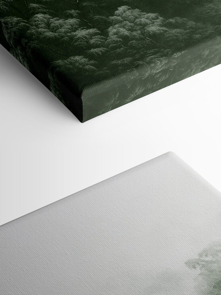 Foggy forest with trees Foggy forest with trees