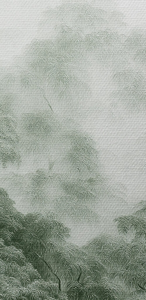 Foggy forest with trees Foggy forest with trees