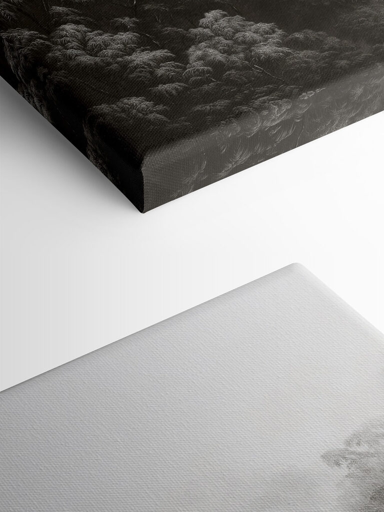 Foggy forest with trees Foggy forest with trees