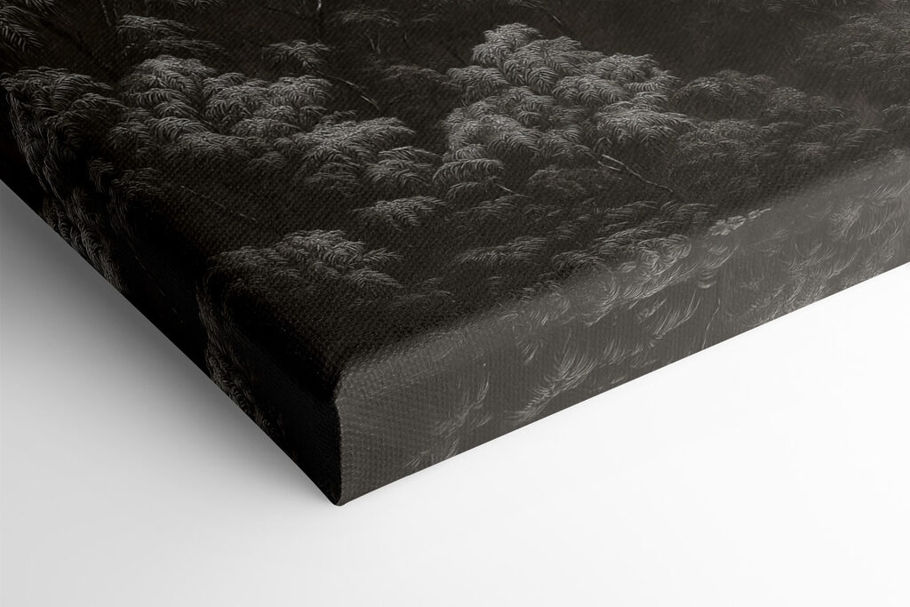 Foggy forest with trees Foggy forest with trees