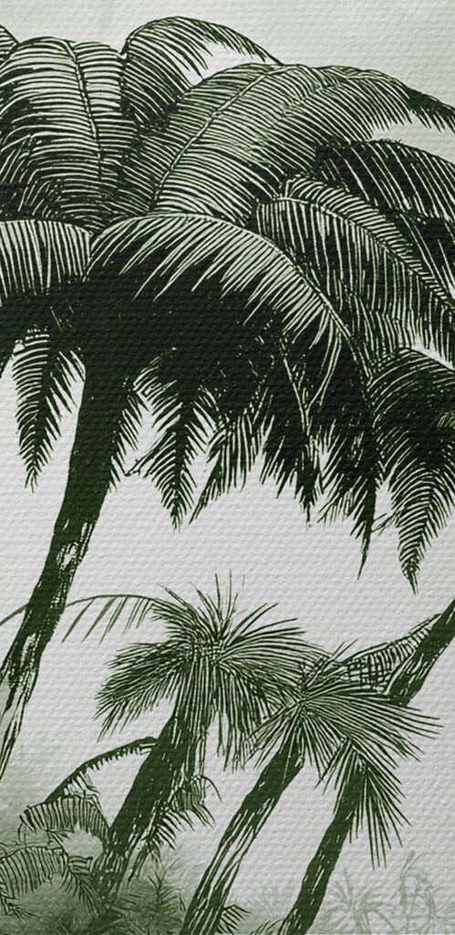 Group of palm trees in a forest