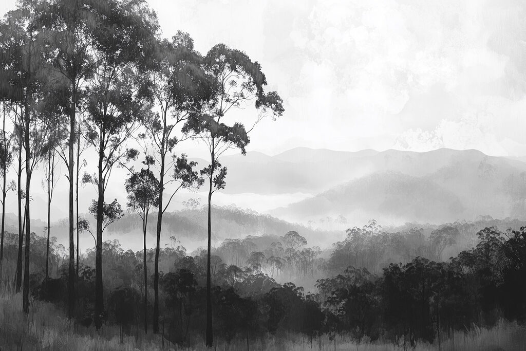 Forest with trees and mountains in the background