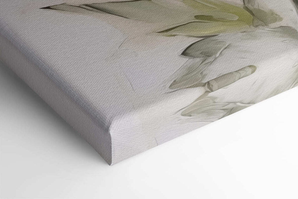 Delicate petals in soft hues