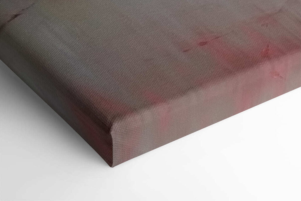 White flowers on a branch White flowers on a branch