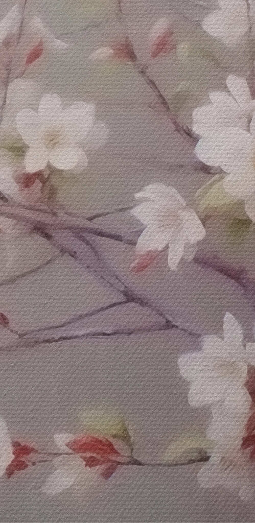 White flowers on a branch White flowers on a branch