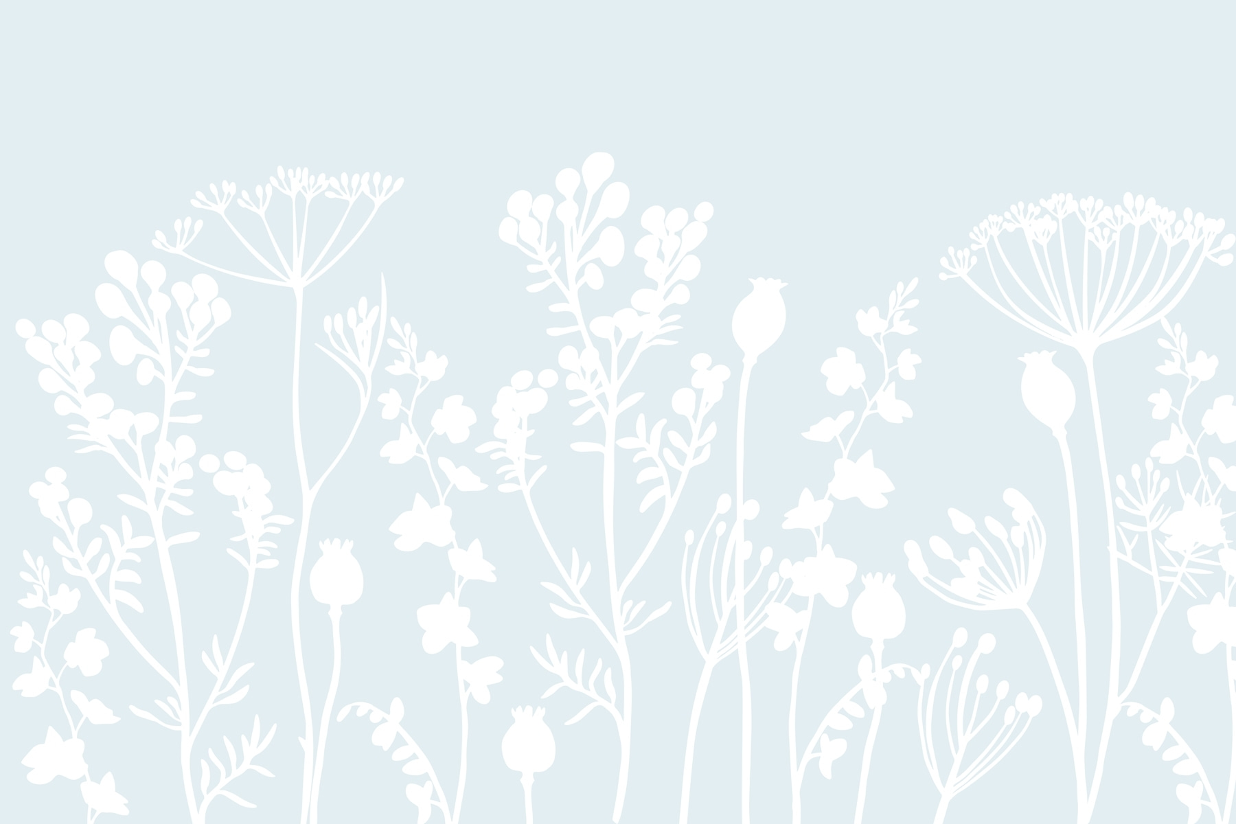 White flowers and leaves on a light blue background White flowers and leaves on a light blue background