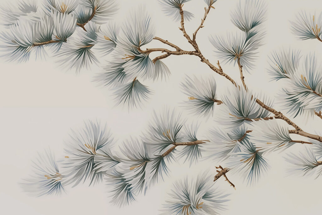 Delicate pine branches on display