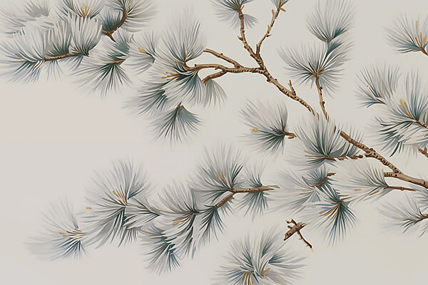 Delicate pine branches on display