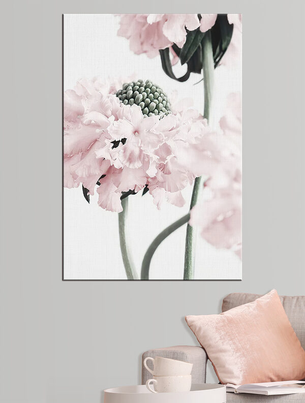 Jemné okvetné lístky v mäkkých odtieňoch Jemné okvetné lístky v mäkkých odtieňoch