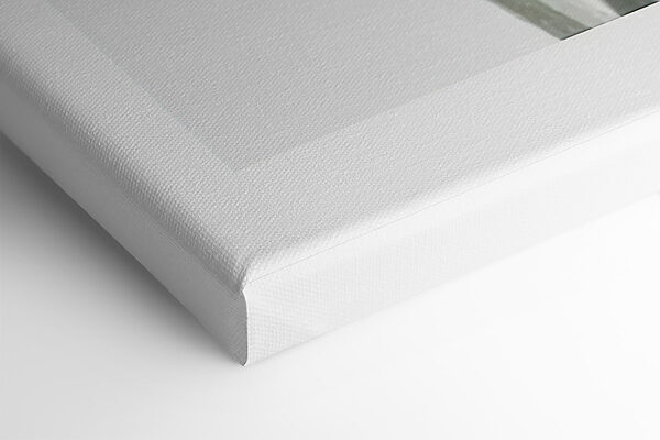 Jemné okvetné lístky v mäkkých odtieňoch Jemné okvetné lístky v mäkkých odtieňoch