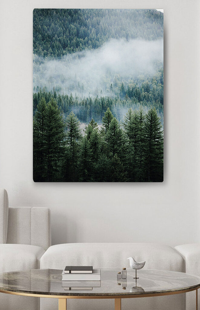 Forest with fog and clouds Forest with fog and clouds