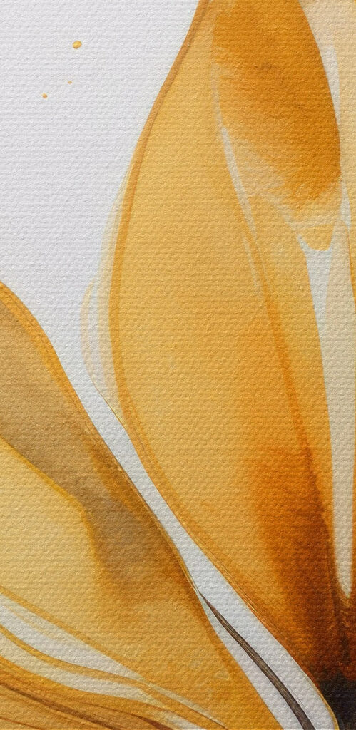 Soft hues of nature's beauty Soft hues of nature's beauty