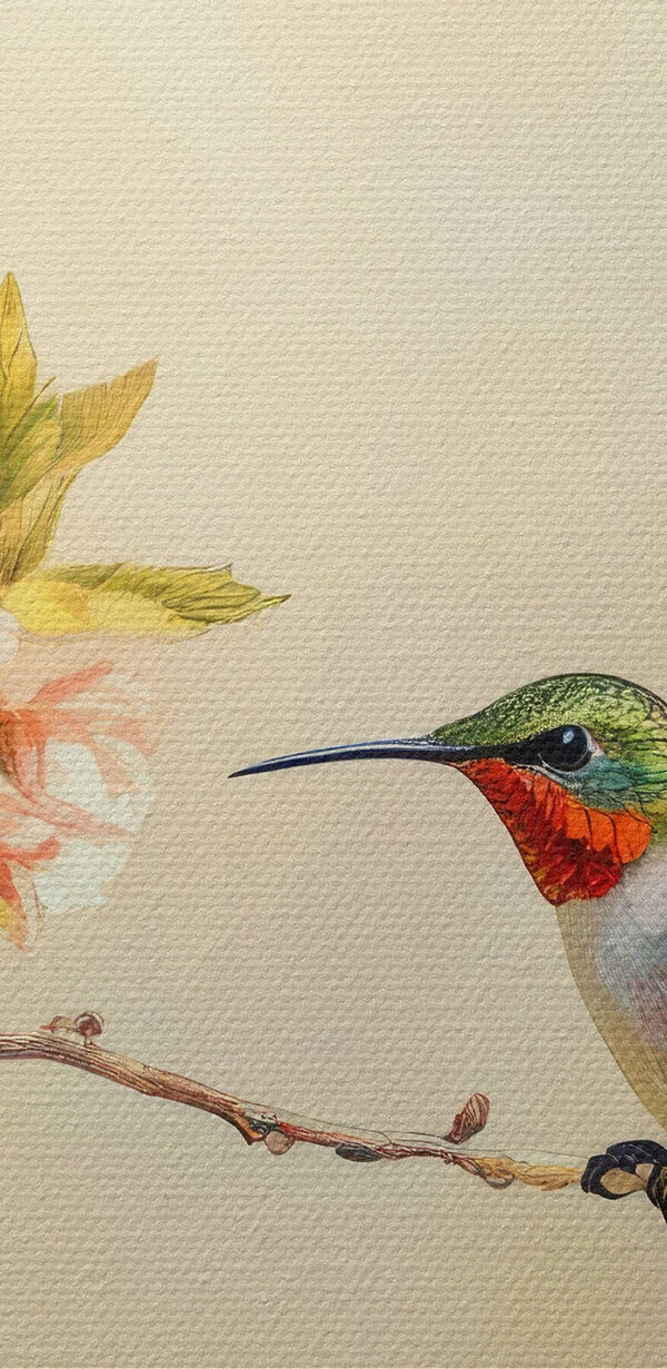 Skupina kolibríkov na konári s kvetmi Skupina kolibríkov na konári s kvetmi