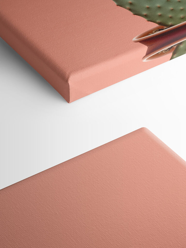 Cactus with red spikes