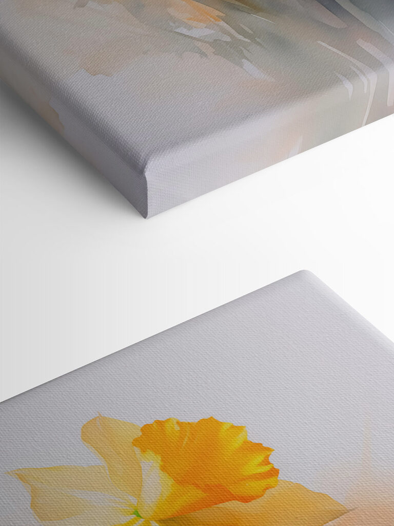 Group of yellow and white flowers