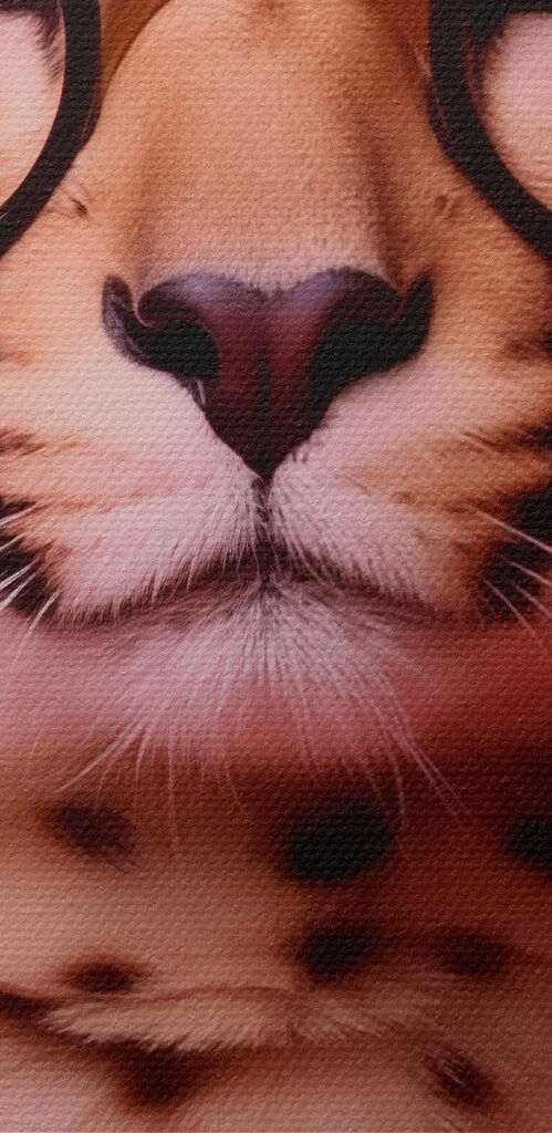 Leopard wearing glasses and a necklace of flowers Leopard wearing glasses and a necklace of flowers