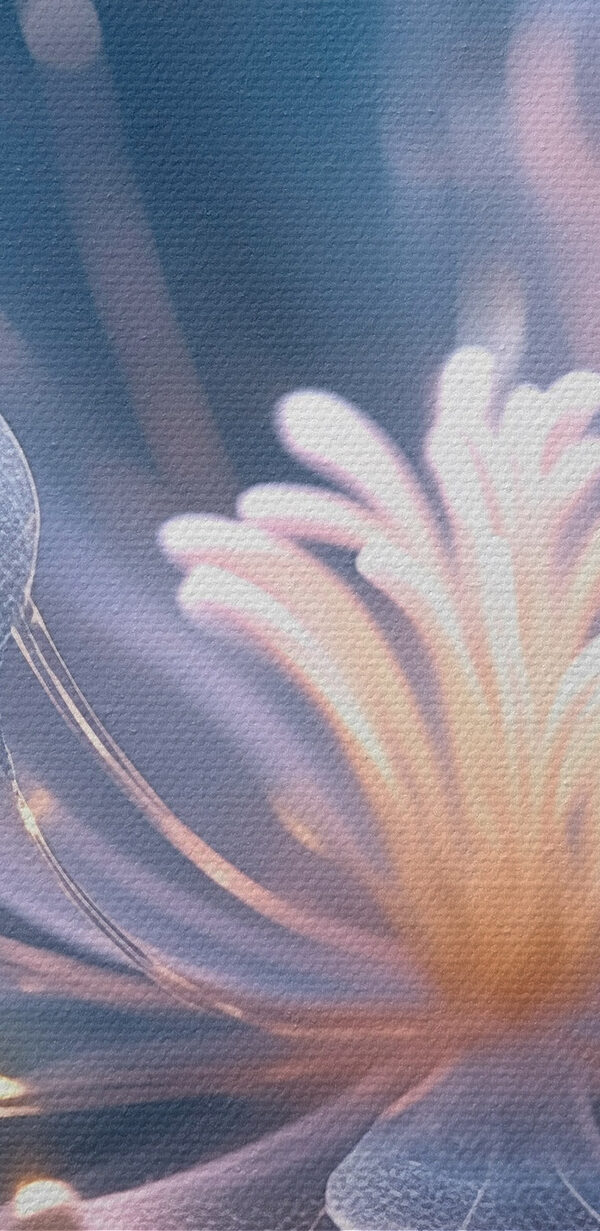 Priehľadný kvet s bielym stredom Priehľadný kvet s bielym stredom
