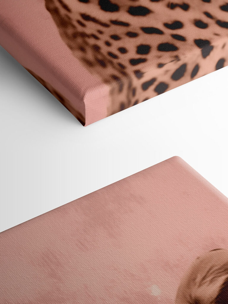 Majestic leopard in soft tones Majestic leopard in soft tones