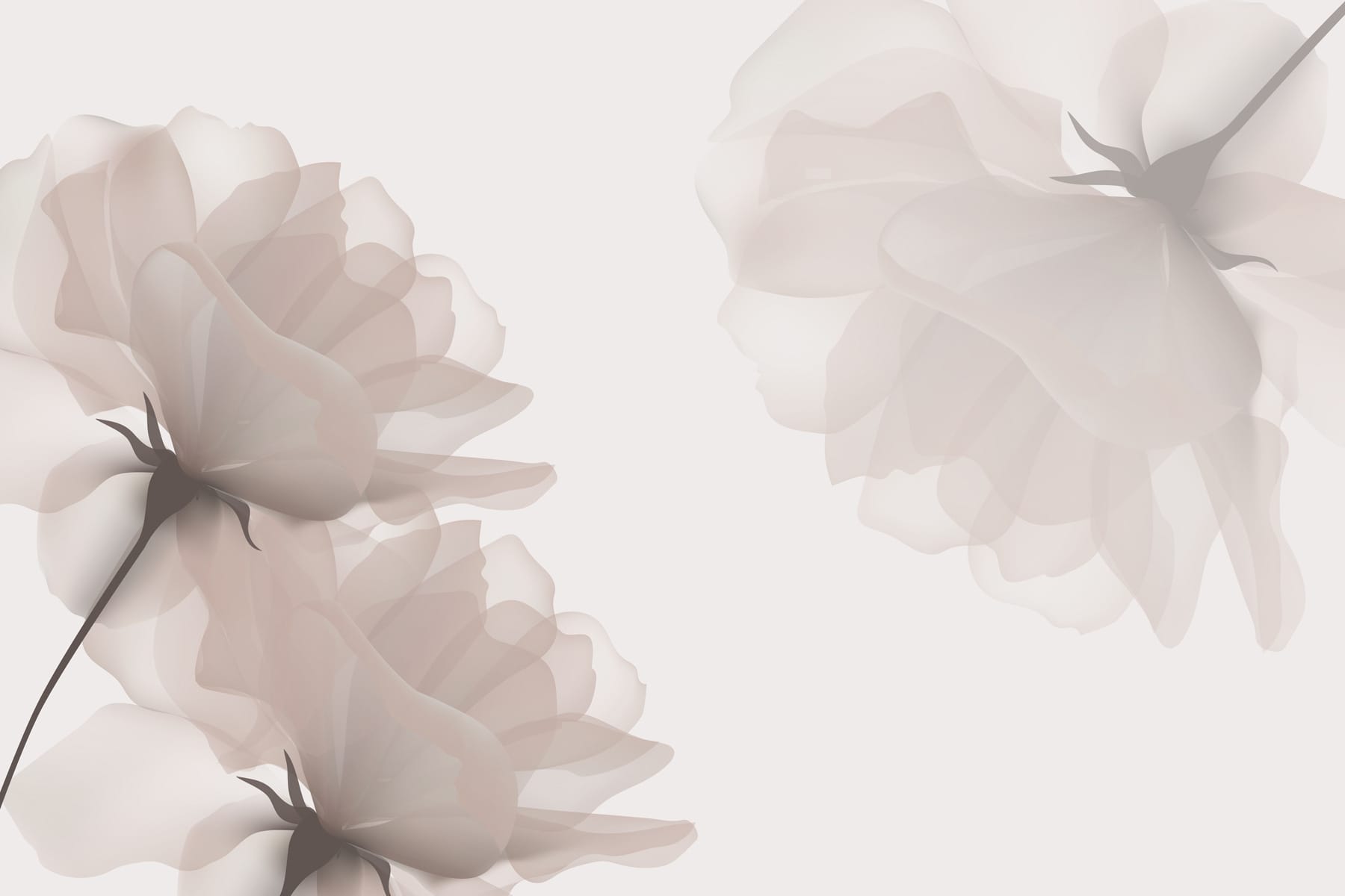 Group of flowers on a white background Group of flowers on a white background