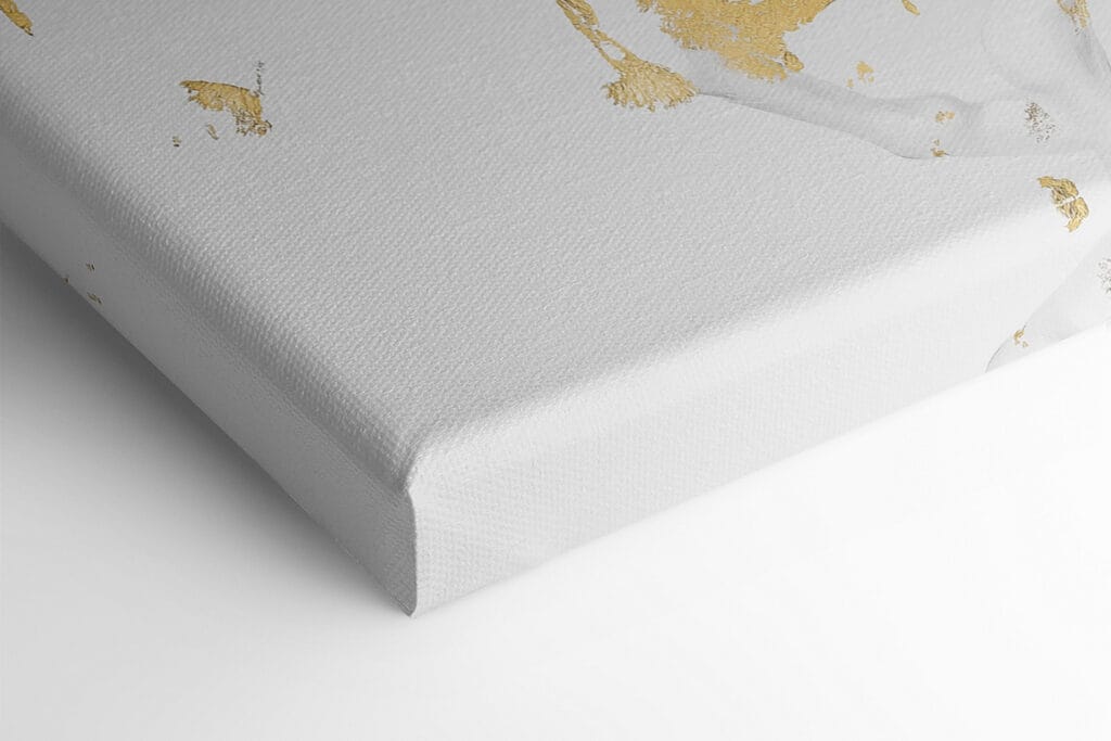 Group of white horses running Group of white horses running