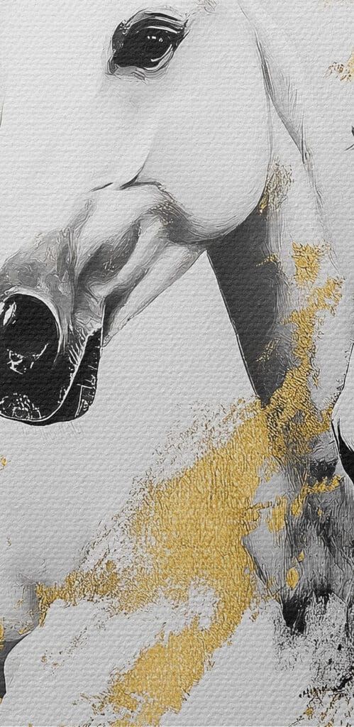 Group of white horses running Group of white horses running