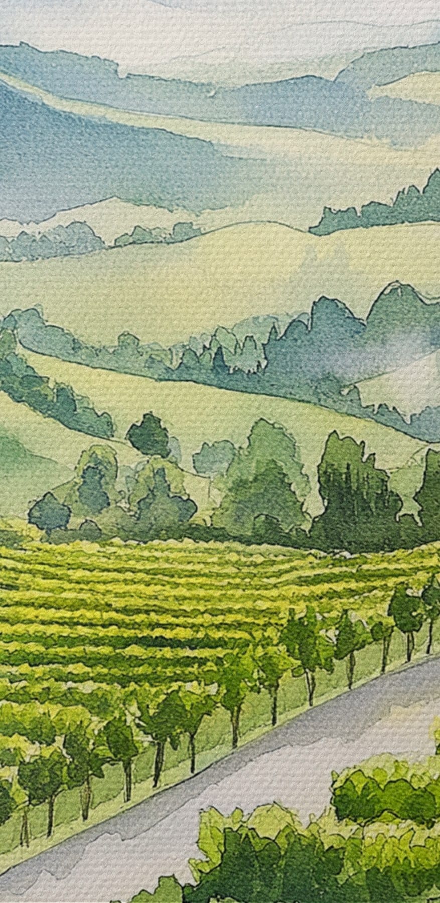 Maľba pohárov na víno a hrozna na stole pred vinicou