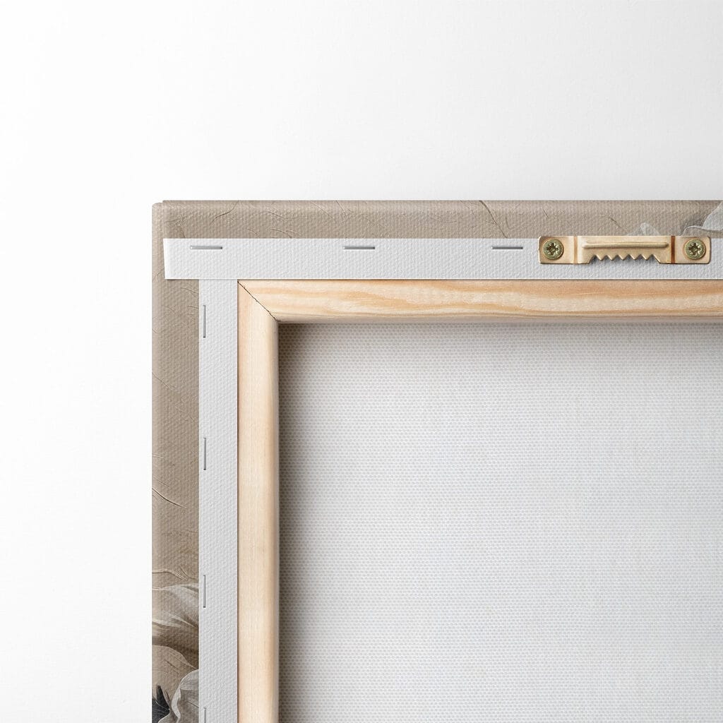 White flower with yellow center