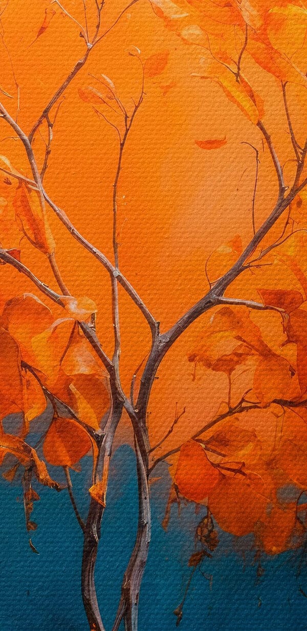 Tree with oranges in the middle